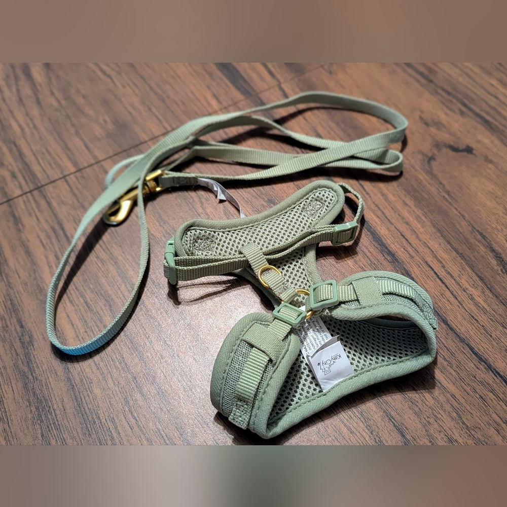 Cat or small dog harness and leash